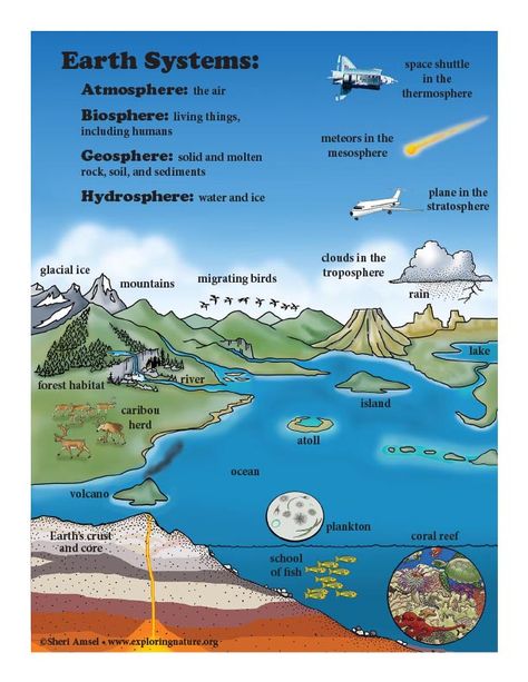 Learn about Earth Systems and Ecology on Exploringnature.org 4 Subsystems Of The Earth, Subsystems Of The Earth, Biomes Activities, Apologia Physical Science, Earth's Spheres, Earth Activities, Desert Biome, Performance Tasks, Earth Materials