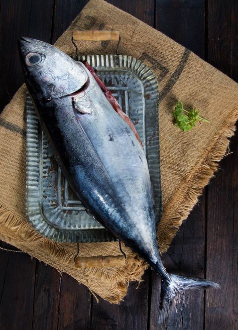 bonito-envasado1 Bonito Fish Recipe, Fresh Fish Photography, Fish Food Photography, Fish Photography, Ingredients Photography, Fishermans Cottage, Glass Dolls, Old Fisherman, Jellyfish Art