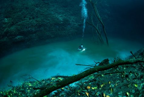 Underwater river at the bottom of the Black Sea | 9 Mysterious Underwater Objects Very Few People Know About | Brain berries Underwater River, Bawah Air, Underwater Caves, Fotografi Bawah Air, Air Tawar, Under The Water, Under The Ocean, Bottom Of The Ocean, Yucatan Mexico