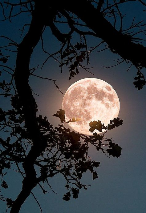 Moon Moon, Beautiful Moon Pictures, Night Sky Moon, Moonlight Photography, Night Sky Photography, Night Sky Wallpaper, The Moon Is Beautiful, Tapeta Galaxie, Moon Pictures