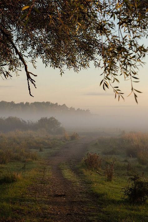 Nature, Morning Photography, Foggy Weather, Favourite Season, Foggy Morning, Yes But, Winter Mornings, Age 50, Winter Aesthetic