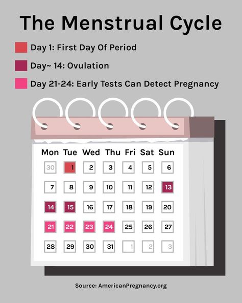 This Ovulation Calendar Will Help You Finally Understand Your Cycle Menstrual Cycle Chart, Menstrual Cycle Calendar, Period Journal, What Is Ovulation, Cycle Chart, Ovulation Symptoms, Fertility Calendar, Ovulation Calendar, Ovulation Calculator