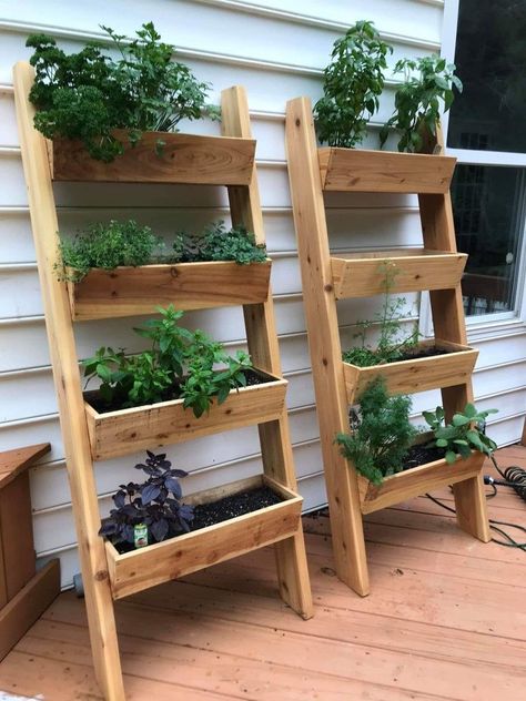 Herb Garden For Patio, Herb Vertical Planter, Vertical Garden Shelf, Garden Bed Ideas Small Space, Small Plant Box Outdoor Garden Ideas, Outdoor Patio Herb Garden Ideas, Gardens For Small Yards, Herb Box Ideas, Planter Shelves Outdoor