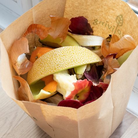 Best way to recycle food waste, keep your kitchen bin clean and pest free.All bags are compostable and made from 100% recycled wood pulp.Strong enough to cope with all household food waste. Made from 100% kraft paper, produced from the wasted pu... Bio Project, Biodegradable Waste, Fat Burning Pills, Solid Waste, Household Waste, Compost Bags, Kitchen Waste, Ways To Recycle, Cleanse Your Body