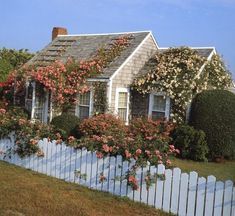 pages of sage Cape Cod Cottage, Nantucket Home, Core Fashion, Cottage Aesthetic, Cottagecore Cottage, Casa Vintage, White Picket Fence, Cottage In The Woods, Dream Cottage