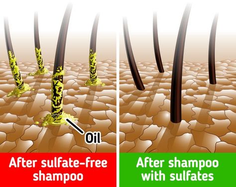 The scope of the beauty industry has changed a lot over the years, as has the idea of the “perfect” shampoo. Nowadays, some companies and people claim that we should avoid certain shampoo ingredients, such as sodium lauryl sulfate, sodium laureth sulfate, and more. 5-Minute Crafts found out whether or not these ingredients are actually harmful. ❗ Important: This article is for informational purposes only. Remember to consult with a specialist first when necessary. Natural Hair Shampoo, Shampoo Ingredients, Skin Redness, Sodium Lauryl Sulfate, Healthy Balance, Sulfate Free Shampoo, Life Improvement, Sulfate Free, Beauty Industry