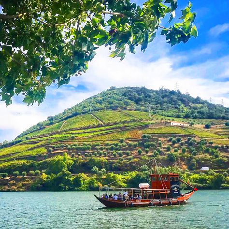 Enjoy a boat trip on the Douro river aboard of a traditional boat from this region - the Rabelo boat Douro River Cruise, Valley Landscape, Traditional Boats, Six Senses, Douro Valley, Helicopter Ride, Boat Trip, Mountain Bike Trails, Helicopter Tour