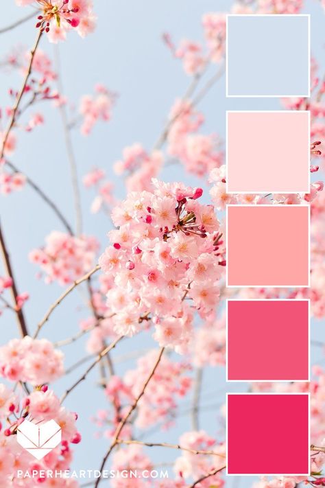 Fantastic Free of Charge Color Palette spring Ideas Regardless of whether you happen to be newbie or an oldtime fretting hand, guidelines for color is d #Charge #Color #Fantastic #Free #Ideas #Palette #spring Colors Of Pink Shades, Blush Pink Palette Color Schemes, Pink Spring Color Palette, Pink And Blue Pallet, Cherry Blossom Decor Bedroom, Colors That Go With Blush Pink, Pink Blue Color Scheme, Lively Color Palette, Pink Blue Colour Palette