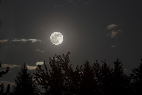 Undertale Cute, Dark Winter, Super Moon, Moon Lovers, Beautiful Moon, The Night Sky, Anime Scenery Wallpaper, Landscape Wallpaper, Cover Photo