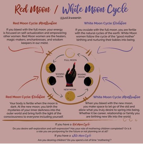 Moon Cycle Period Ritual, Menstruating On A Full Moon, Moon And Period Cycles, New Moon Cycle, Red Moon White Moon Cycle, Women Moon Cycle, Period During New Moon, Menstration Magick, Moon And Femininity