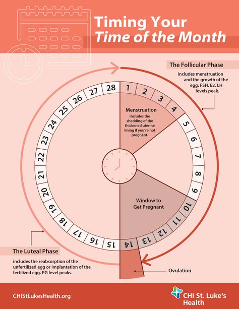 Menstrual Cycle Infographic Fertility Chart Menstrual Cycle, Menstruation Cycle Chart, Period Chart Menstrual, Menstrual Cycle Days, How To Track Your Period Menstrual Cycle, How To Track Period, How To Track Your Cycle, Tracking Your Cycle, How To Track Your Period