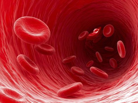 What is Polycythemia Vera?: An increase in red blood cells per unit volume is characteristic of polycythemia vera Autoimmune Disease, Iron Deficiency, Nitric Oxide, Bone Marrow, Red Blood, Red Blood Cells, Blood Cells, Vitamin B, Blood Vessels