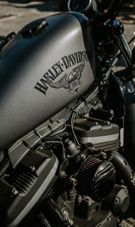 Bikeriders Aesthetic, Harley Davidson Aesthetic, Harley Aesthetic, Moto Aesthetic, Harley Davidson Motorcycles Sportster, Moto Harley Davidson, Мотоциклы Harley Davidson, Harley Davidson Wallpaper, Bike Aesthetic