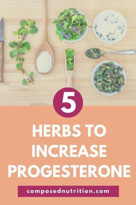 Increase Progesterone, High Estrogen, Fertility Nutrition, Hormone Balancing Diet, Healthy Period, Low Estrogen Symptoms, Too Much Estrogen, Progesterone Levels, Low Estrogen