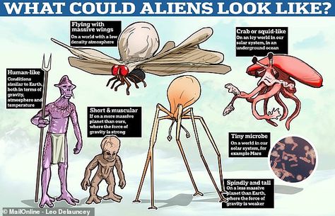 Mystery: If aliens do exist, what might they actually look like? MailOnline asked a number of experts and these were some of their answers Speculative Evolution, Saturns Moons, Jupiter Moons, Alien Life Forms, Alien Life, Different Planets, Ancient Animals, Life Form, Our Solar System