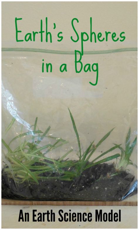 Model the biosphere, atmosphere, geosphere, hydrosphere in a zip-loc bag! Montessori, Geosphere Projects, Earth Spheres Project, Hydrosphere Project, Geosphere Biosphere Hydrosphere Atmosphere, Earths Spheres, Biosphere Project, Zentangle Patterns For Beginners, Earth Systems