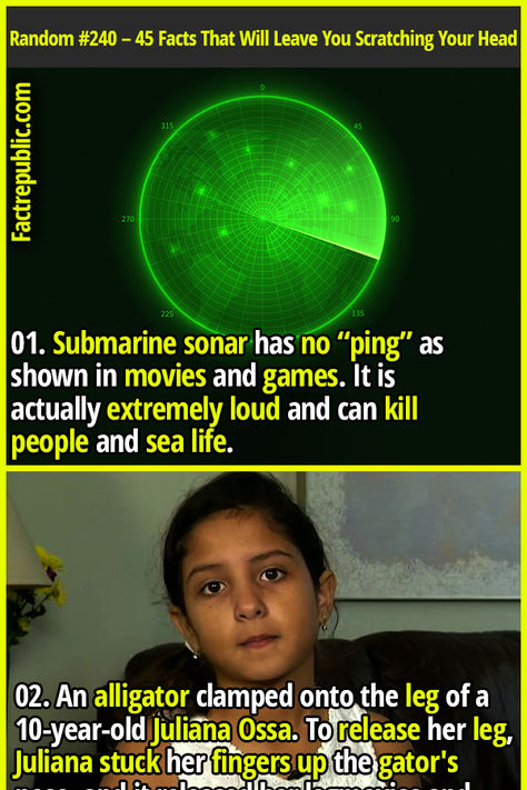 01. Submarine sonar has no “ping” as shown in movies and games. It is actually extremely loud and can kill people and sea life. #science #knowledge #education #technology #girl #rescue #brave #badass #kid Random Science Facts, Fun Movie Facts, Funny True Facts, People Staring, Odd Facts, Science Facts Mind Blown, Science Knowledge, Fact Republic, Science Fact