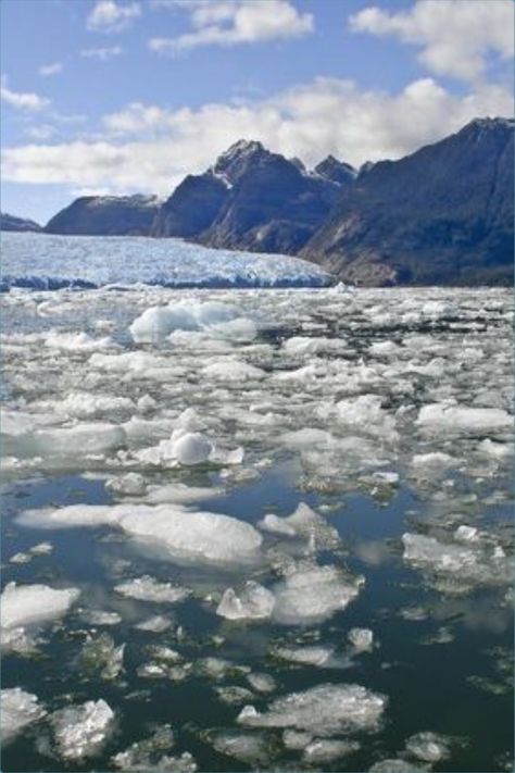 The polar ice caps and the Greenland ice sheet are melting six times faster than they were in the 1990s. The high melt rate corresponds to the “worst case scenario” model for global warming set out by the Intergovernmental Panel on Climate Change (IPCC), and means that without sweeping curbs on greenhouse gas emissions, the planet will see a 17-centimetre rise in sea level in just 80 years, putting about 400 million people at risk of annual coastal flooding. Melting Ice Caps, Glaciers Melting, Polar Climate, Ice Sheet, London Pictures, Sea Level Rise, Worst Case Scenario, Sea Level, 80 Years