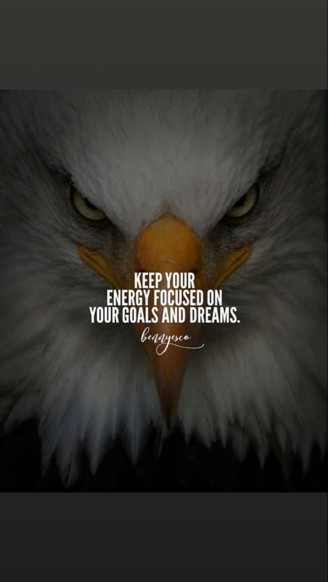 Focus Inspirational Quotes, Eagle Motivational Quotes, Goal Focused Quotes, Focus On The Goal Quotes, Just Focus On Yourself Quotes, Lion Quotes Inspirational, Focus On Goals Quotes, Stay Focused Quotes Motivation, Self Respect Quotes Women