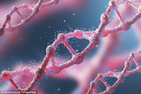 #DailyMailUK ... "Scientists have pinpointed the genes that helped early humans adapt to new food as they conquered the world .".. http://www.dailymail.co.uk/sciencetech/article-4320658/Gene-helped-primitive-humans-digest-food-revealed.html Scene Del Crimine, Human Embryo, Genetic Diseases, Human Genome, Human Dna, Brain Tissue, Early Humans, Gene Therapy, Genetic Mutation