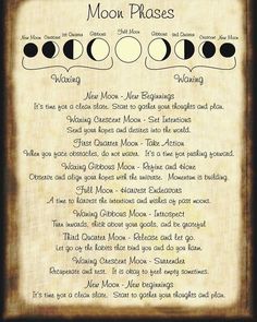 ⛥ Lana ⛥ on Instagram: “All the moon phases😉😉 #witches #salem #greenwitch #magicwands #spells #paganspells #cats #wiccaspells #god #goddess #wiccans #alters…” Halloween Spell Book, Halloween Spells, The Moon Phases, Moon Spells, Wiccan Witch, Magick Spells, Wicca Witchcraft, Witch Spell, Moon Cycles