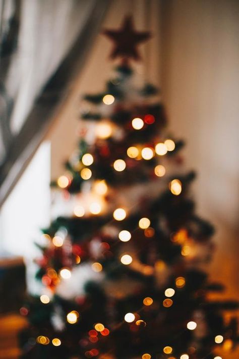 Štědrý Den, December Wallpaper, Christmas Wallpaper Free, Christmas Tree Wallpaper, Christmas Playlist, Christmas Wallpaper Backgrounds, Xmas Wallpaper, Christmas Phone Wallpaper, Cute Christmas Wallpaper