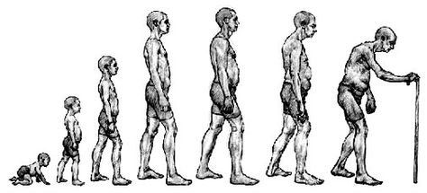 Human Lifespans Nearly Constant for 2,000 Years (and an explaination on our fuzzy math) http://www.livescience.com/10569-human-lifespans-constant-2-000-years.html Simple Garden Shed, Life Symbol Tattoo, Life Goes On Tattoo, Human Growth And Development, Garden Shed Ideas, Child Psychologist, Shed Ideas, Simple Garden, Tree Of Life Tattoo