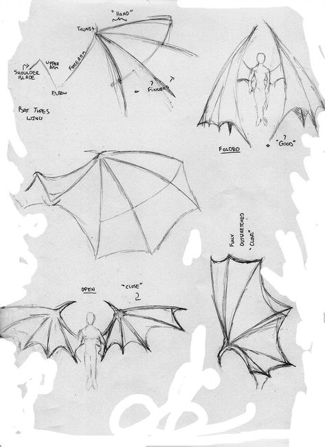 Bat Anime Wings by StickWilde Anime Wings, Demon Wings, Some Drawings, Desen Realist, Wings Drawing, Dragon Sketch, 3d Drawings, Anatomy Drawing, Dragon Drawing