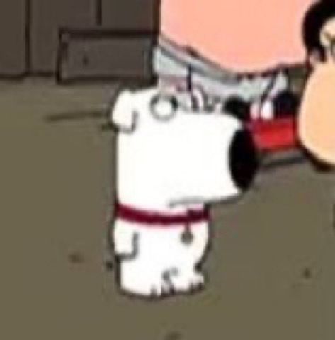 Brian Family Guy, Getting Attached, Brian Griffin, Family Guy Funny, Family Guy Funny Moments, Peter Griffin, Spongebob Funny, Goofy Pictures, American Dad