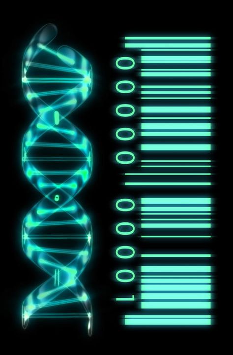 Mi profesor de biología enseña a las 9:45. Estamos aprendiendo sobre el ADN… Microbiology Study, Dna Art, Dna Molecule, Human Genome, Human Dna, Forensic Science, Mystery Boxes, Molecular Biology, Quantum Physics