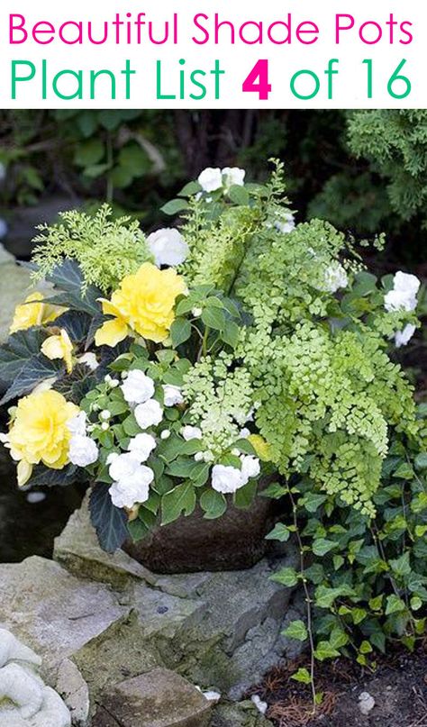 Shade Garden Plants Pots, Shade Pots Ideas, Flower Beds With Pots, Shade Porch Planter Ideas, Shade Planters Ideas Container Plants, Fern Container Ideas, Perennial Container Ideas, Shade Container Plants Porches, Shade Loving Plants For Pots