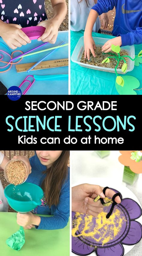 Homeschooling 2nd Grade, 2nd Grade Activities, Second Grade Science, Learning At Home, Science Lesson, Homeschool Education, Homeschool Learning, Homeschool Lesson, Homeschool Activities