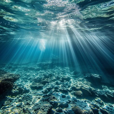 Underwater Light Rays: Sunlight filters through the clear blue water, illuminating the underwater seascape with ethereal rays. #underwater #sunlight #ocean #rays #clear #aiart #aiphoto #stockcake ⬇️ Download and 📝 Prompt 👉 https://ayr.app/l/9HDv Bonito, Light In Water, Ocean Corset, Water Aesthetic Blue, Ocean Filter, Underwater Sunlight, Under The Sea Aesthetic, Mermaid In Ocean, Sun Underwater