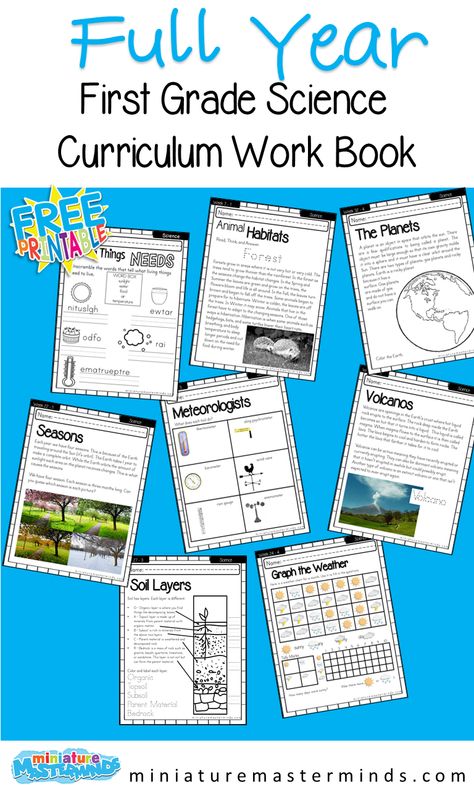 First Grade Science Full Year Curriculum – Miniature Masterminds 1st Grade Homeschool Science, Free 1st Grade Curriculum, Montessori, First Grade Science Lessons Plans, First Grade Yearly Lesson Plans, 1st Grade Science Curriculum Homeschool, Second Grade Curriculum Map, First Grade Homeschool Ideas, 1st Grade Lesson Ideas