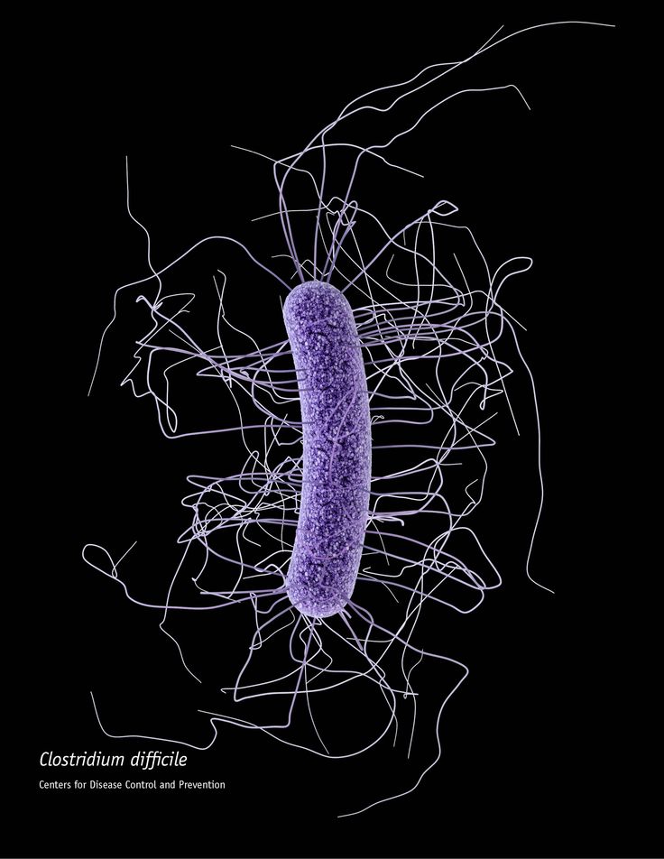 an animal cell is shown in the dark with white lines on it's side