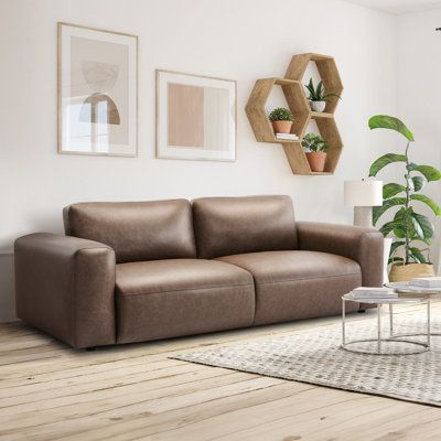 a living room with a couch, coffee table and potted plants on the wall