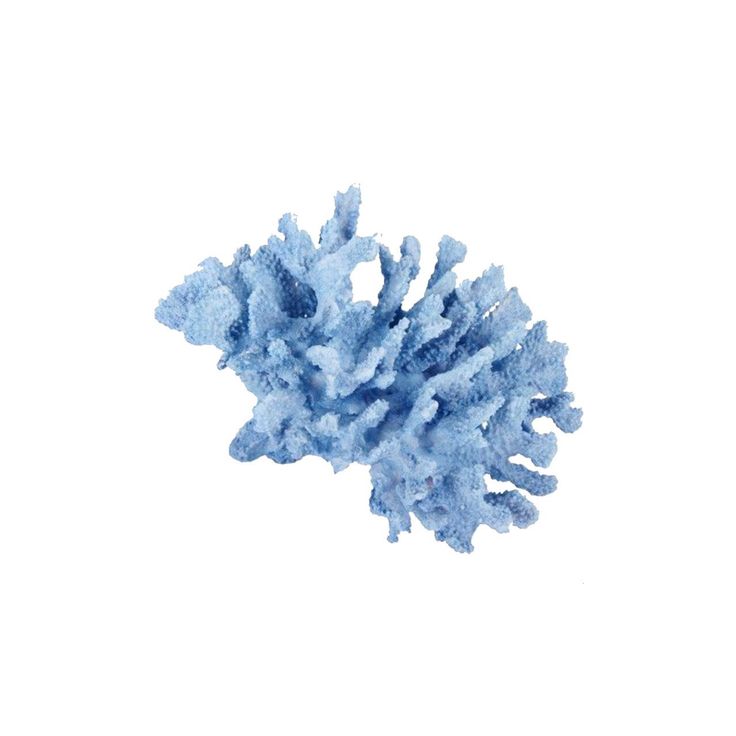 a blue coral on a white background