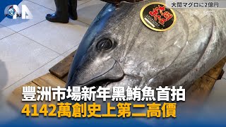 豐洲市場新年黑鮪魚首拍  4142萬創史上第二高價