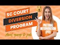 How to get a criminal case dismissed in SC through the PreTrial Intervention Program (PTI).  If you qualify and complete the program, your case will be expunged.