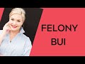 FELONY BUI [Boating Under the Influence] is a serious crime in SC.  

Jail time or prison time for BUI (Boating Under the Influence)?

Fine for BUI (Boating Under  the...