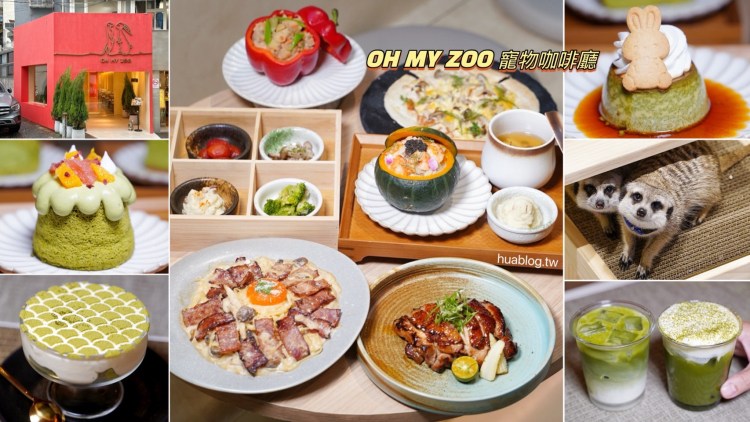 台北東區新開幕不限時寵物咖啡廳「OH MY ZOO cafe」，這裡不只有鹹食餐點，根本是抹茶控的天堂！還有可愛的狐獴、貓咪陪伴各位～