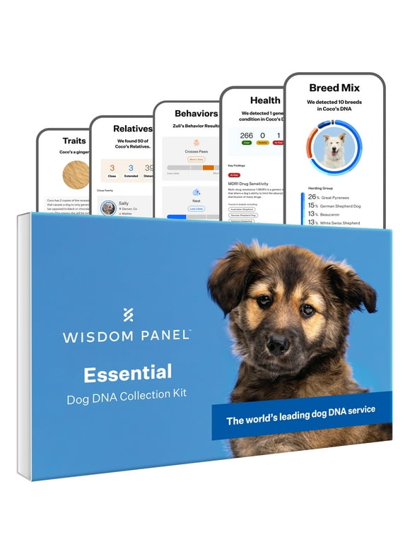 Wisdom Panel Essential, Breed Identification & Health Condition Identification, Dog DNA Test Kit