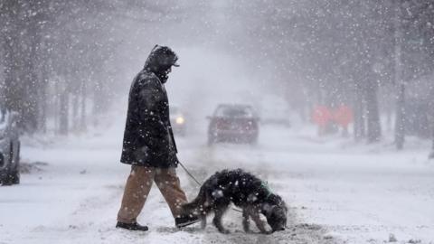 a man is walking his dog down a street that is covered in snow. He's wearing a parka. the dog is a shaggy grey dog. it is snowing heavily.