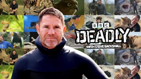 Steve Backshall stood in front of a collage of animal pictures with the deadly show logo to his side