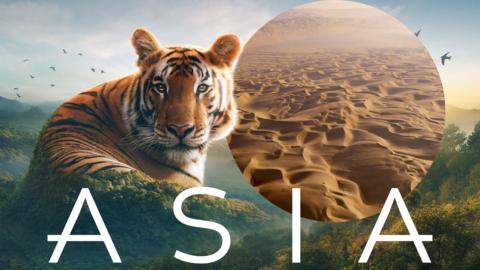 A large tiger blends into the side of a mountain in is edited photo, an image of a large, vast desert is circled next to it.