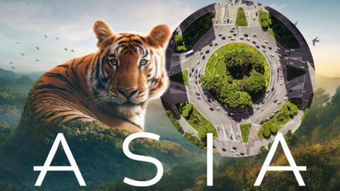 A large tiger blends into the side of a mountain in is edited photo, an image of a motorway roundabout is circled next to it.