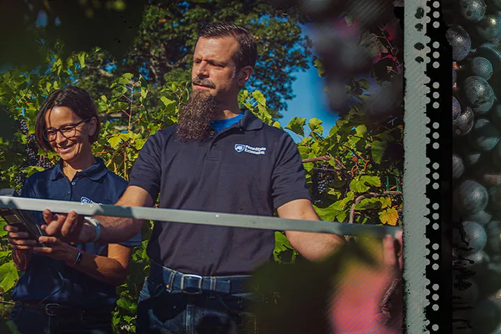 Wine makers with tools