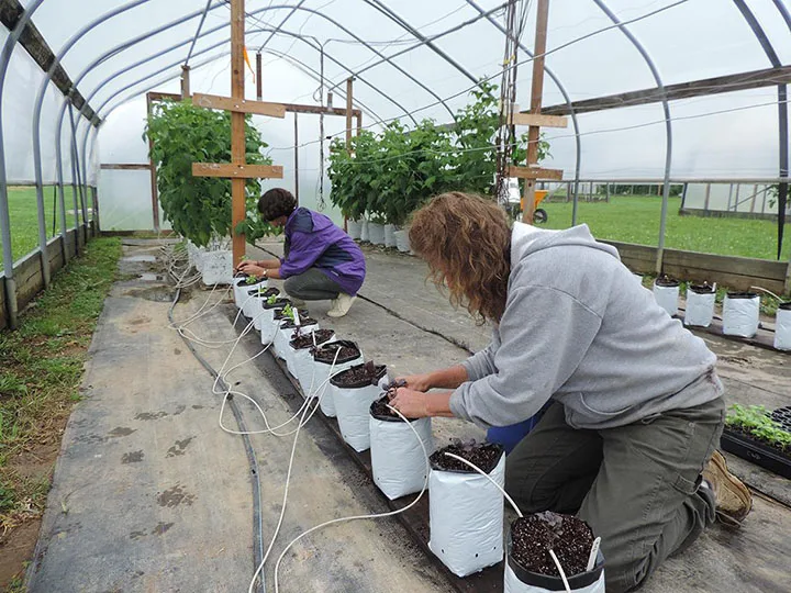 Penn State petition calls for support of federally funded research