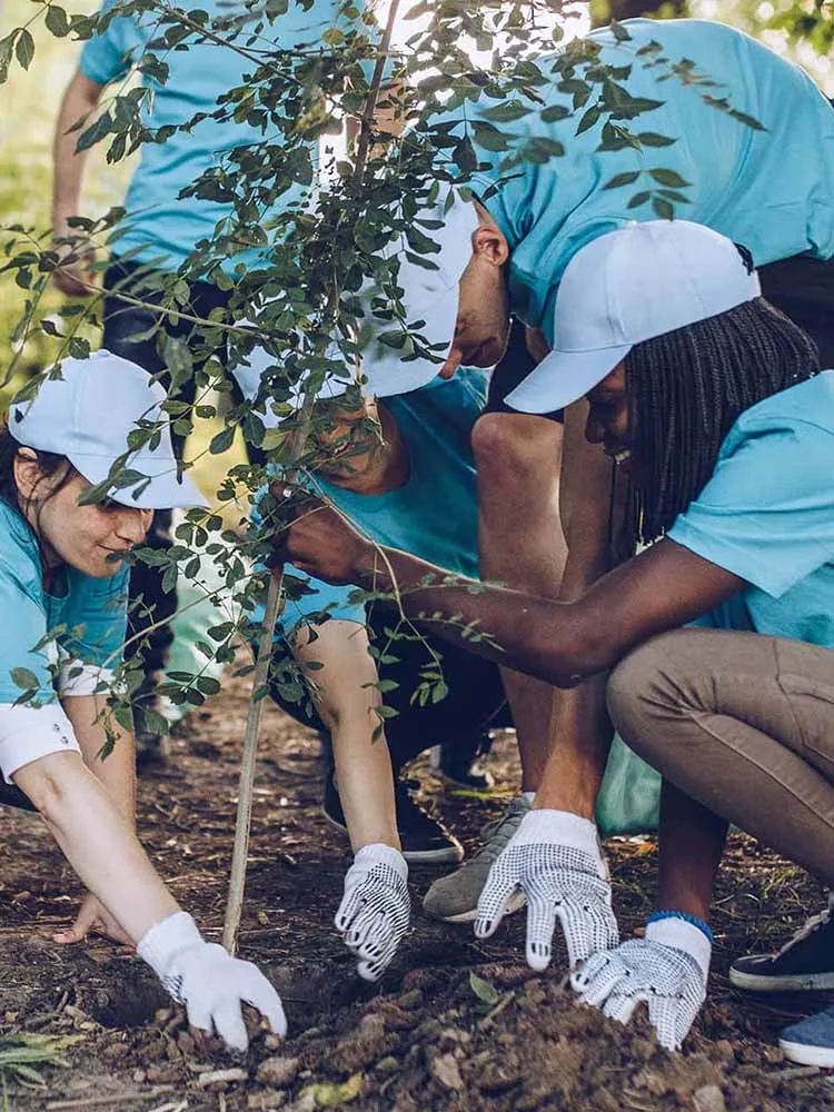 Volunteers planting a tree