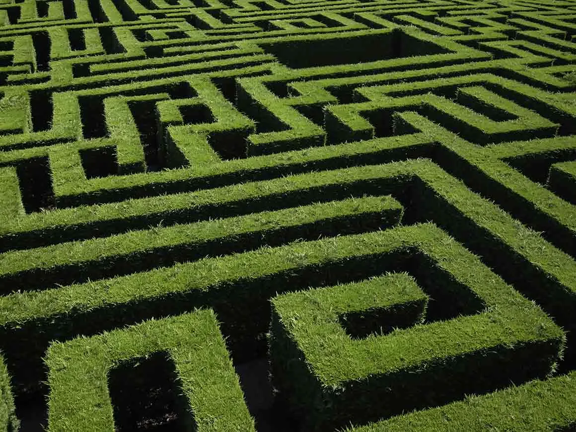 Hedge maze